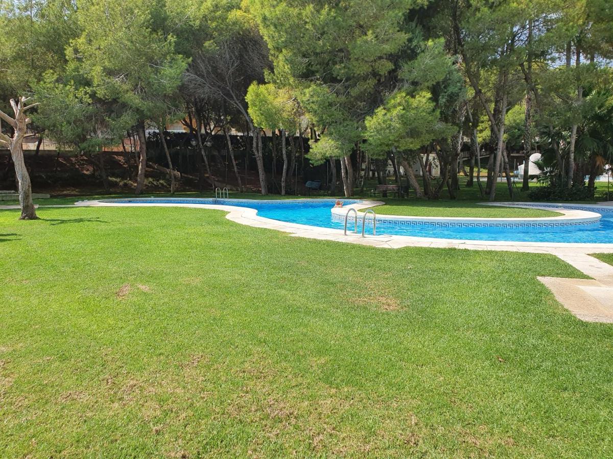 Apartment In Campoamor Overlooking The Swimming Pool المظهر الخارجي الصورة